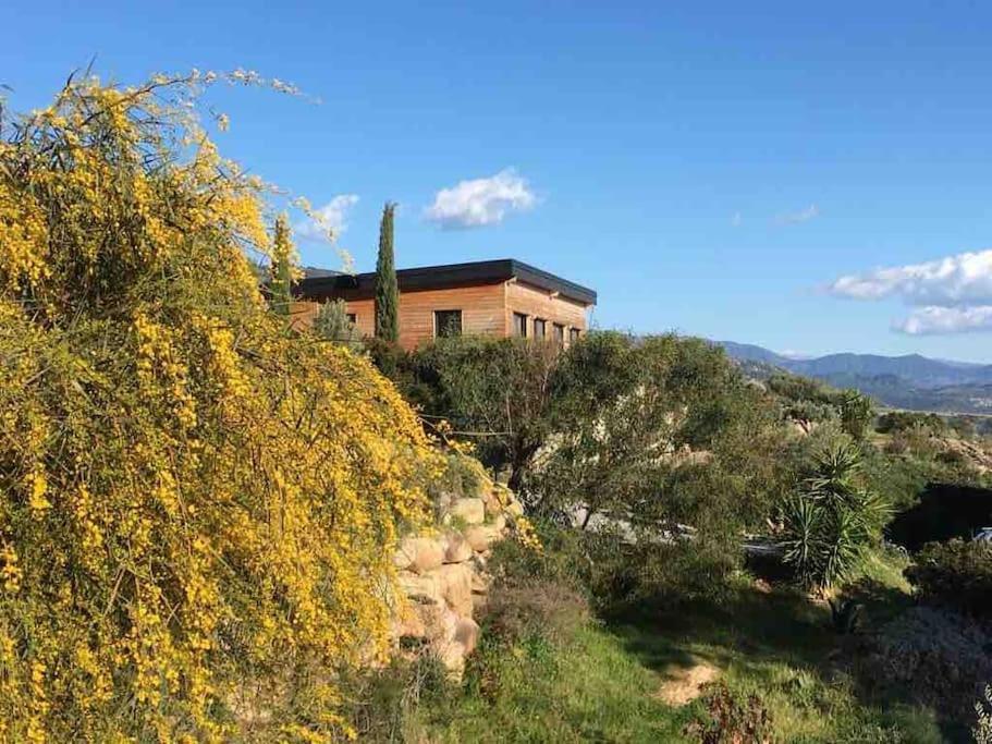 Villa Casa Turrigiani à Sagone  Extérieur photo