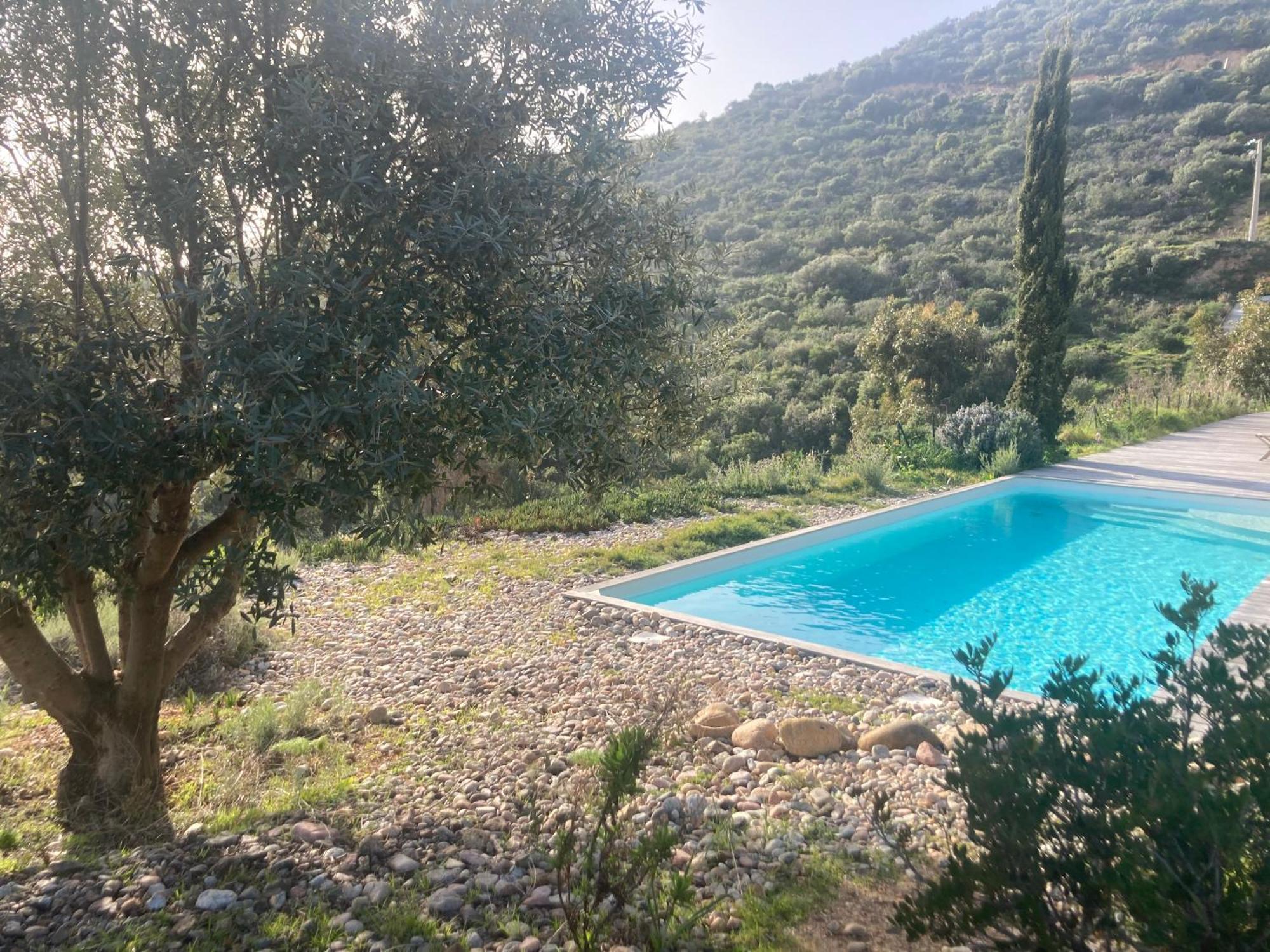 Villa Casa Turrigiani à Sagone  Extérieur photo